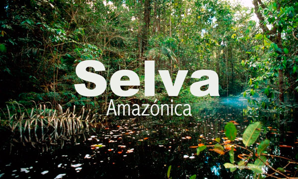 Region Amazonica Ecuador Flora fauna rios clima 11