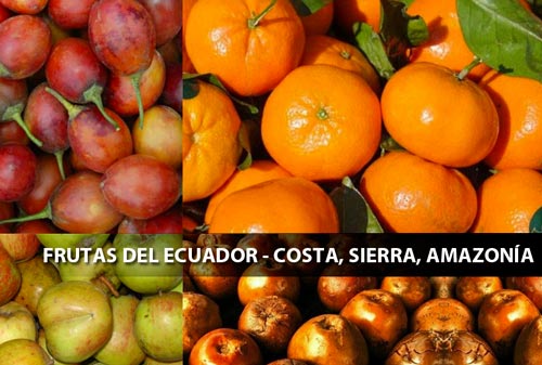frutas costa sierra oriente ecuador frutos ejemplos