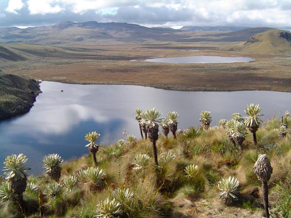 reservas naturales areas protegidas ecologicas ecuador 25